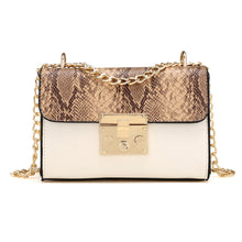 Load image into Gallery viewer, Woman Bag
