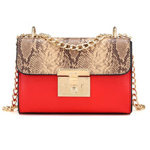 Load image into Gallery viewer, Woman Bag